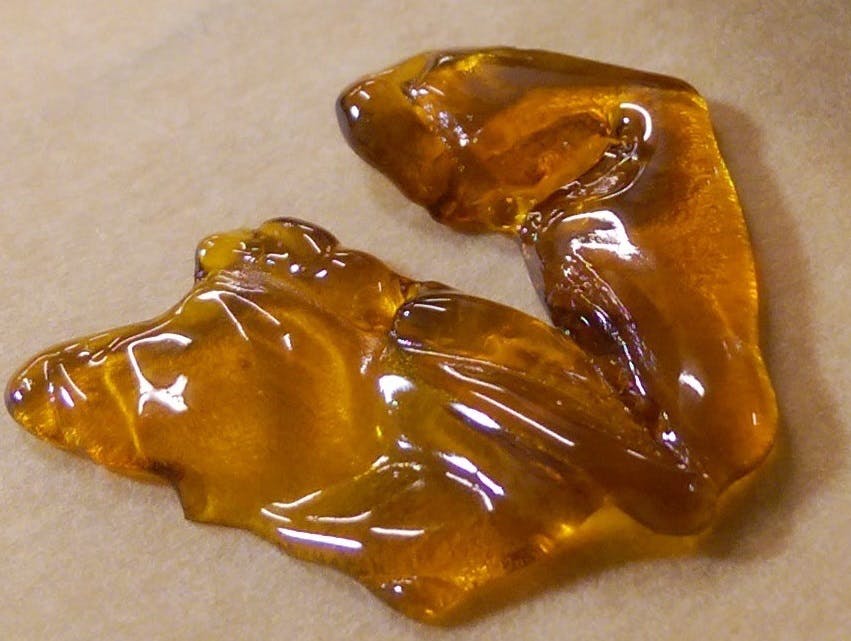 concentrate-the-happy-camper-cannabis-co-high-terpene-shatter