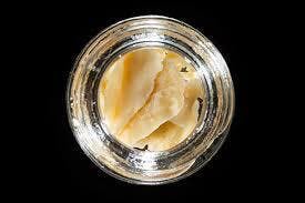 concentrate-the-lab-blueberry-headband-live-batter