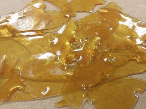 concentrate-the-lab-blueberry-headband-live-sugar