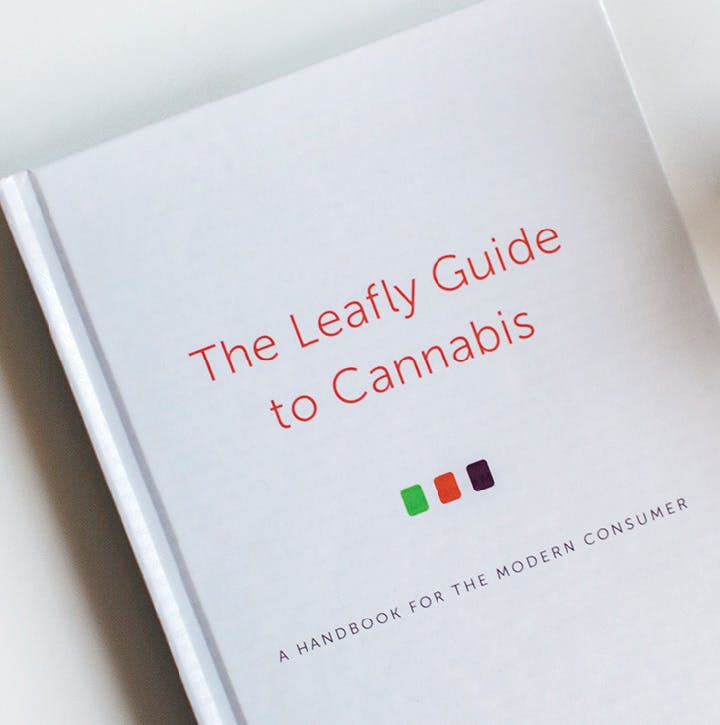 gear-the-leafly-guide-to-cannabis