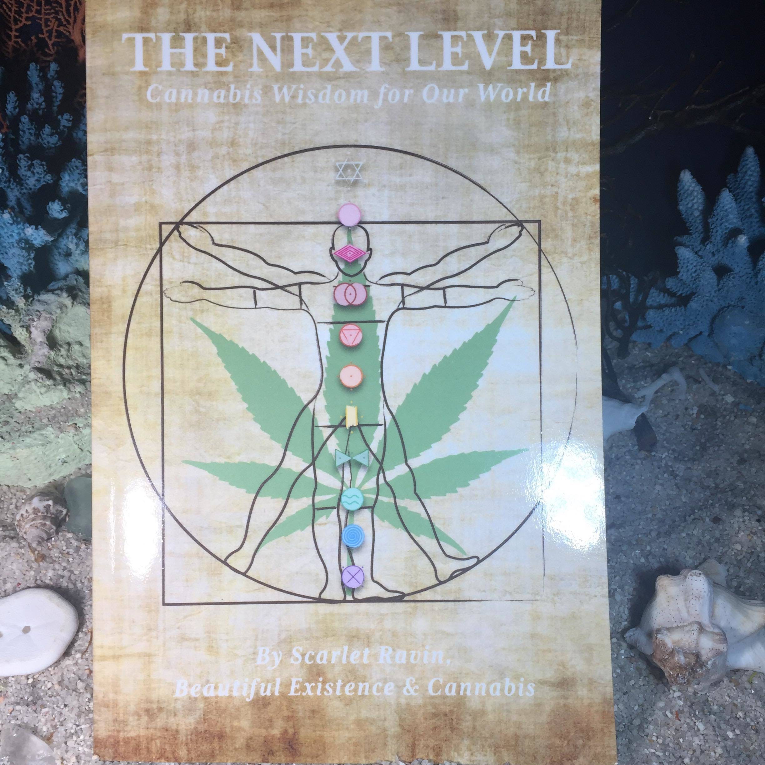 The Next Level: Cannabis Wisdom for Our World