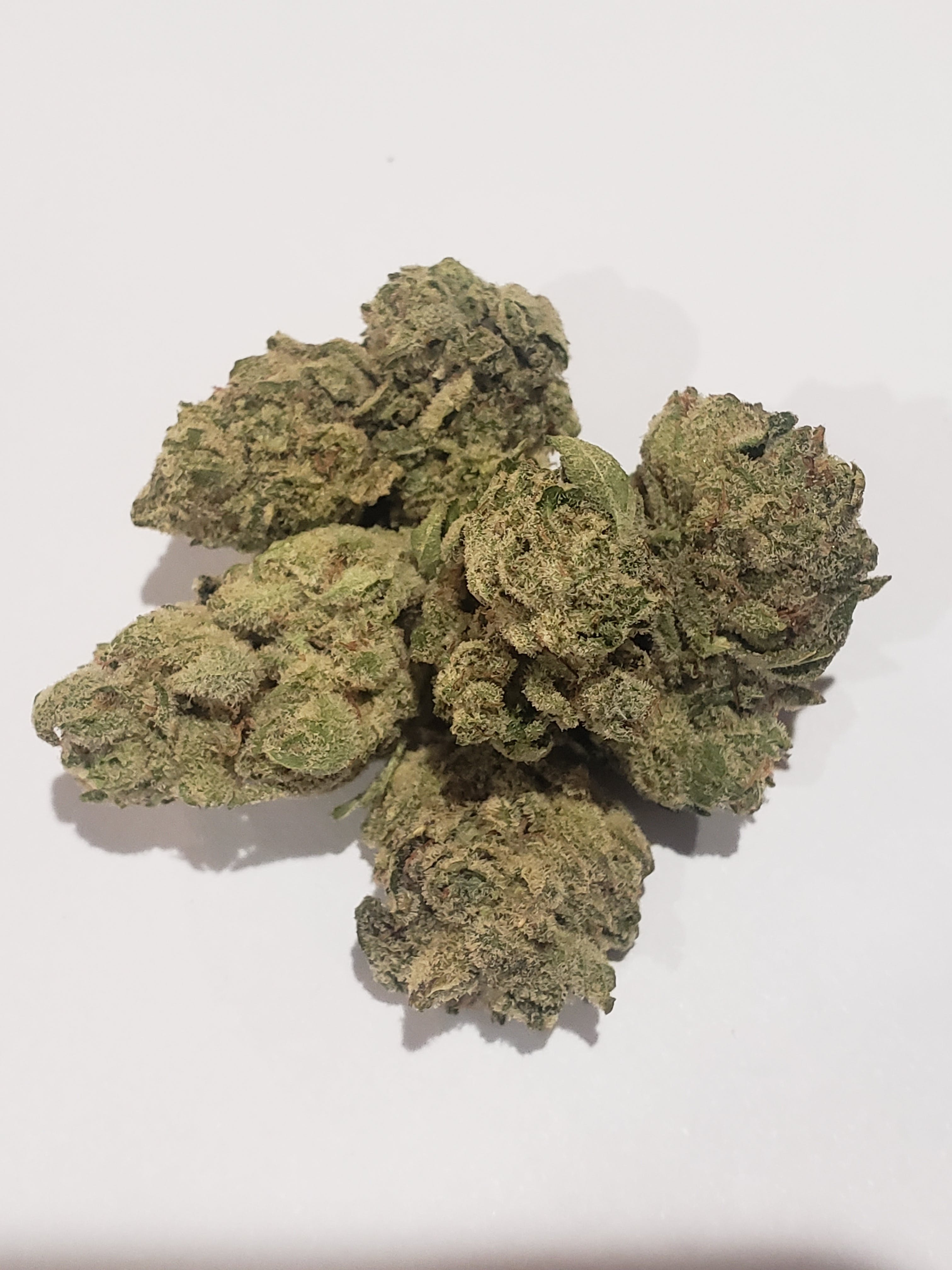 marijuana-dispensaries-5359-valley-blvd-los-angeles-the-syndicate-gorilla-glue