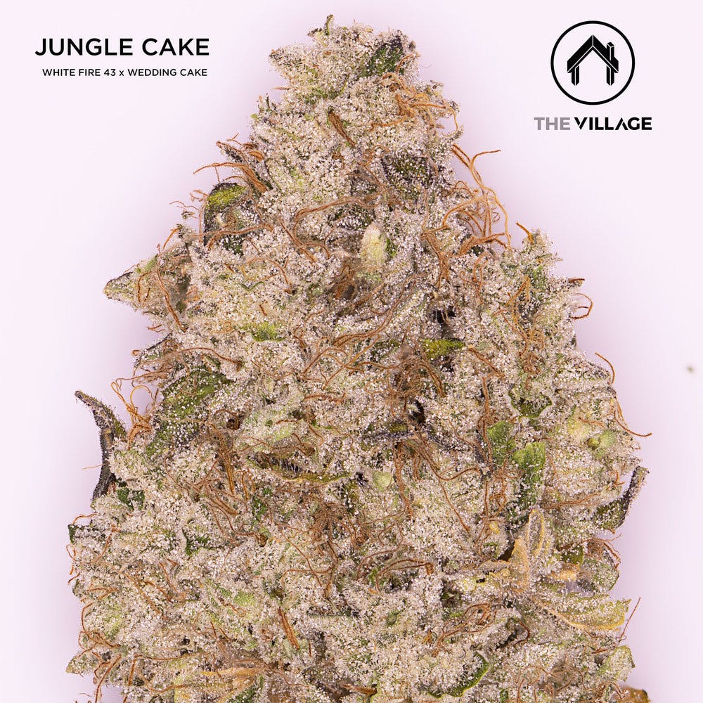 The Village - Jungle Cake