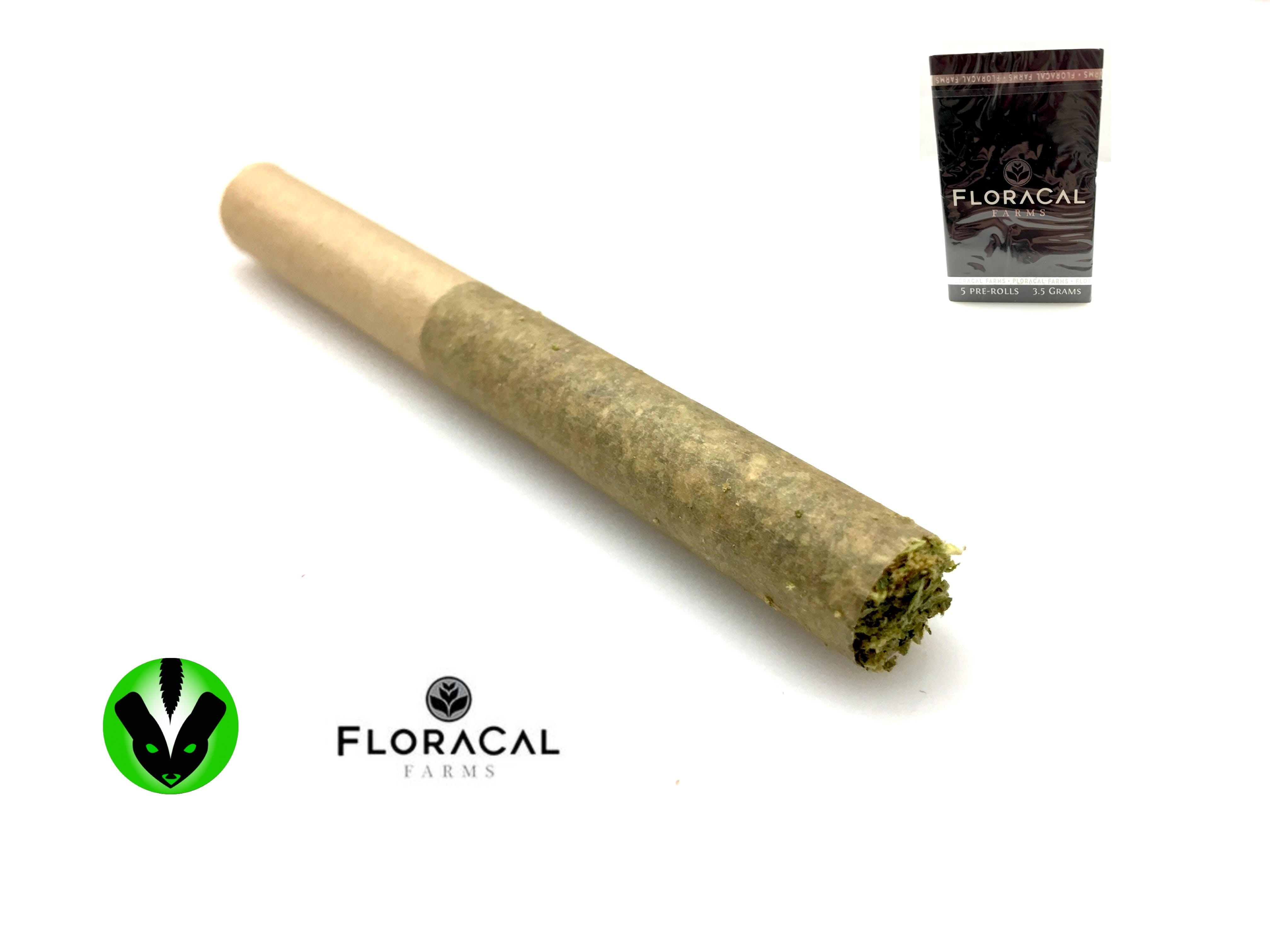 marijuana-dispensaries-2675-n-ventura-road-suite-104-port-hueneme-the-white-5-joints-pack-by-floracal