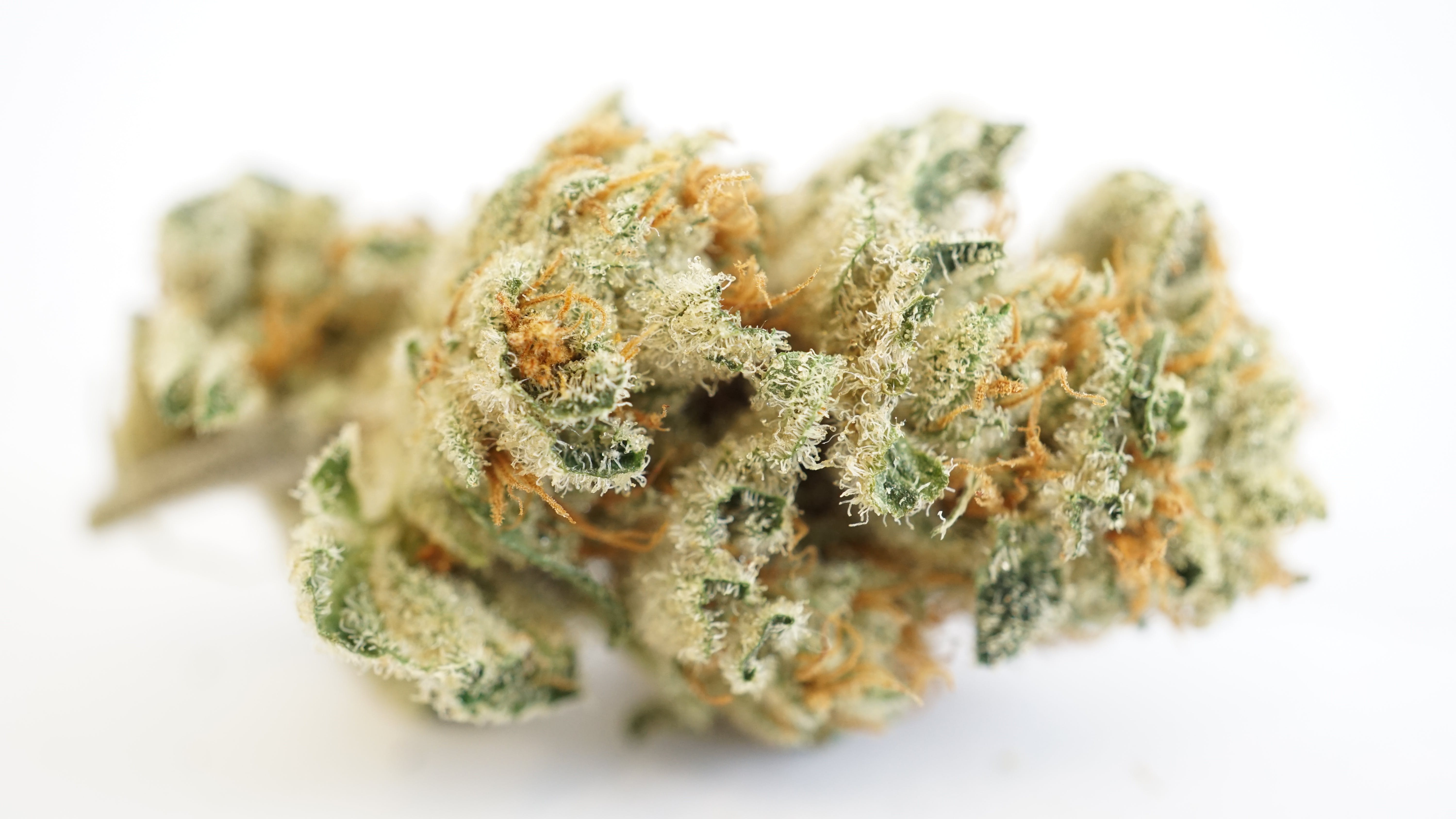 marijuana-dispensaries-9291-baltimore-national-pike-ellicott-city-the-white-by-natures-heritage