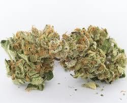 marijuana-dispensaries-4845-van-gordon-st-wheat-ridge-thelonious-skunk-tax-included