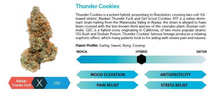hybrid-thunder-cookies