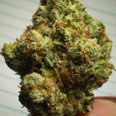 hybrid-tire-fire-3-5g-northern-county-pharms