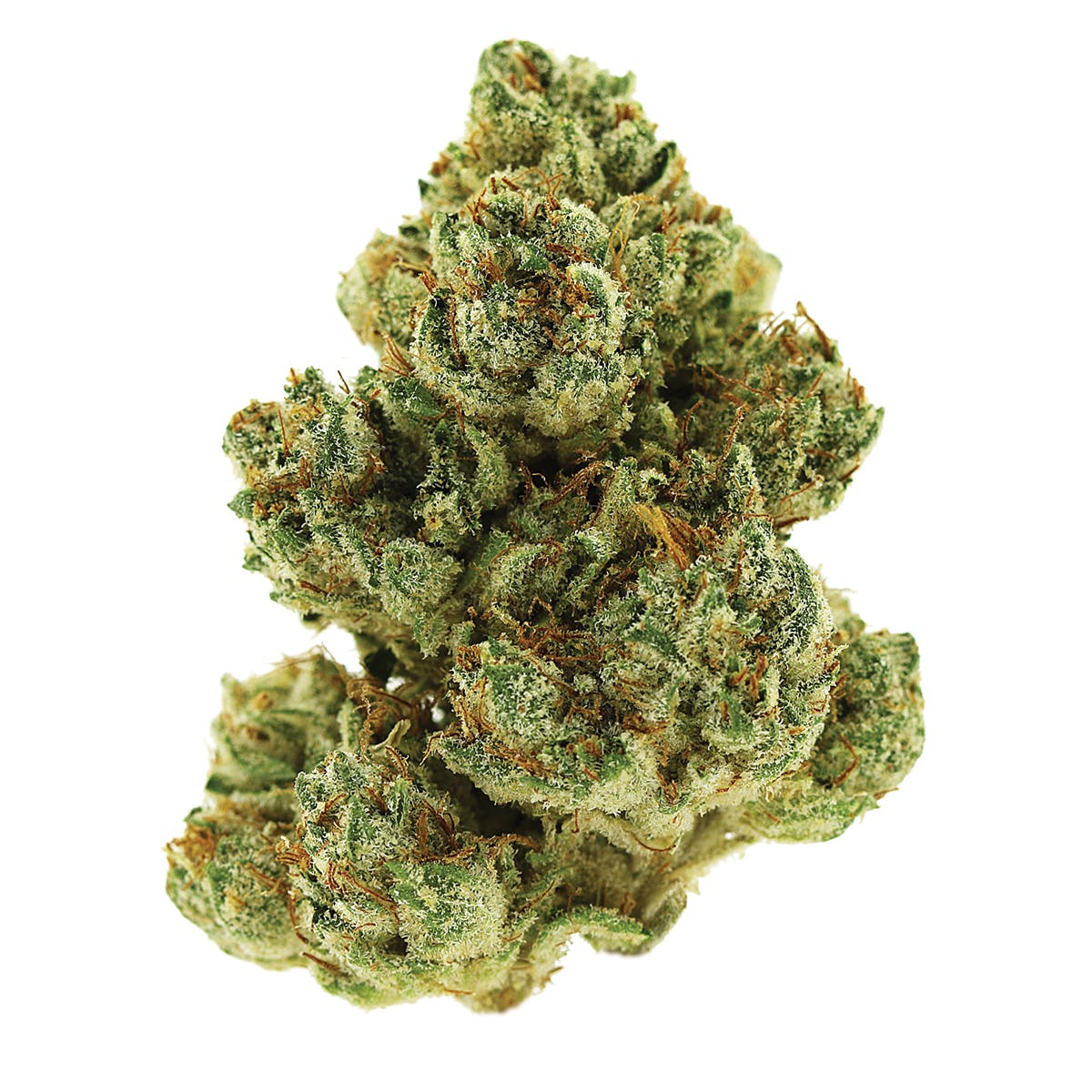 marijuana-dispensaries-pure-710sf-in-san-francisco-titan-og
