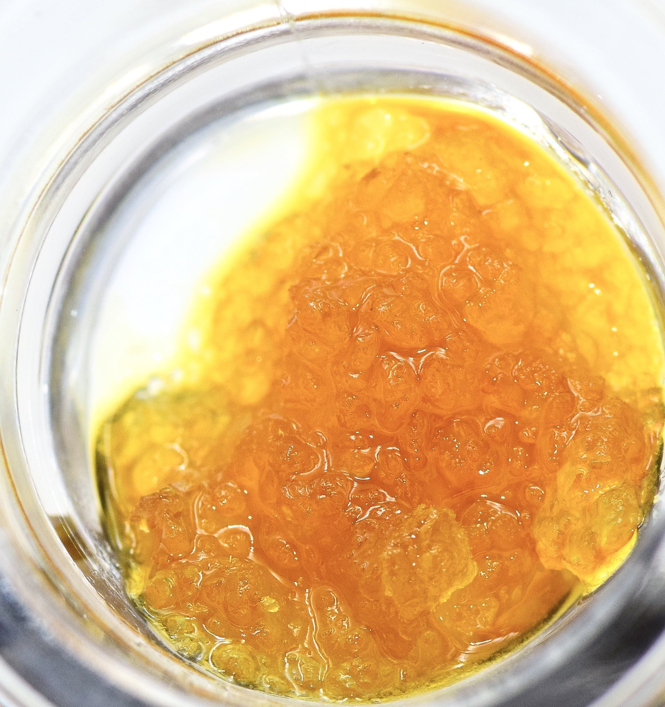 concentrate-quest-concentrates-tk-tangie-live-sugar