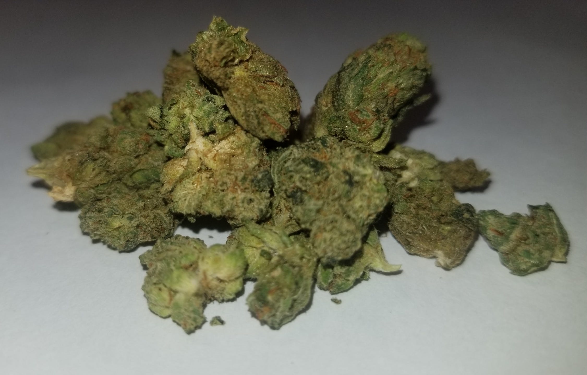 marijuana-dispensaries-green-gorillaz-express-in-los-angeles-tko-og