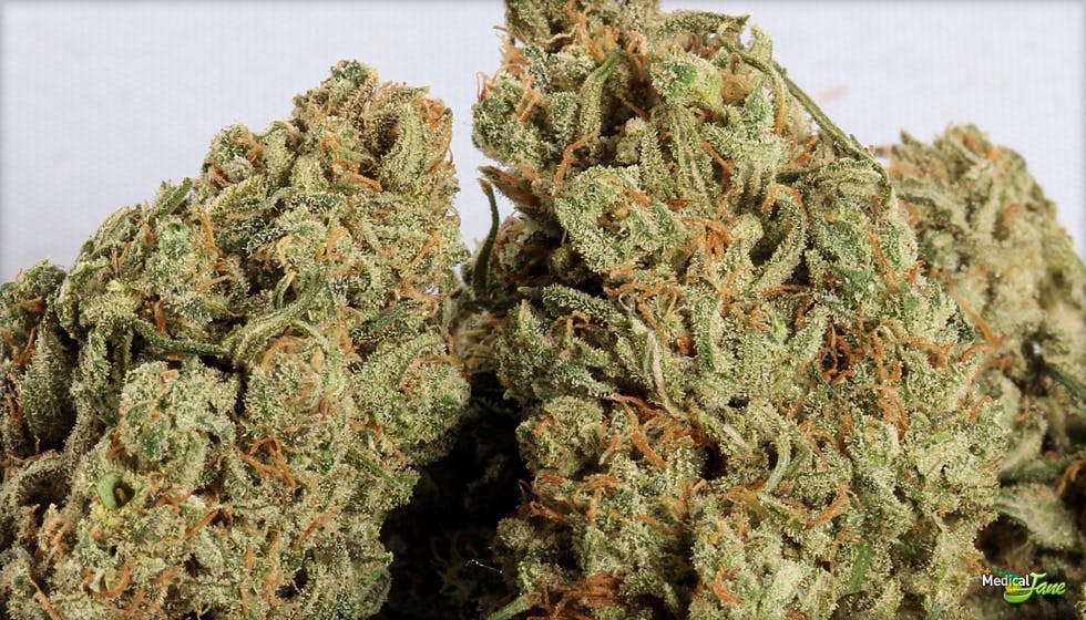 marijuana-dispensaries-570-w-holt-ave-pomona-top-jack-dream