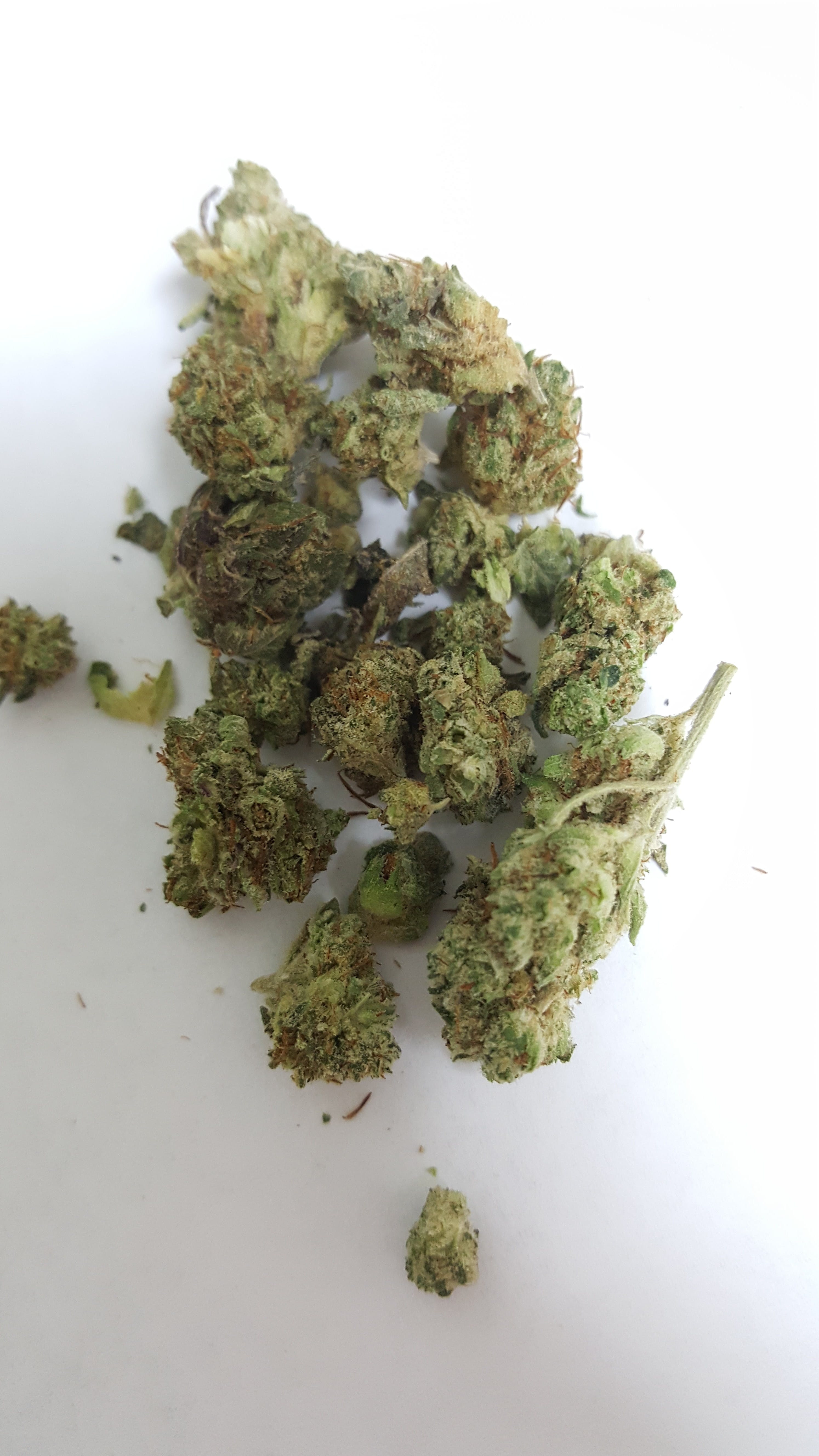 marijuana-dispensaries-2435-e-orangethorpe-ave-fullerton-top-nug-shake-hybrid