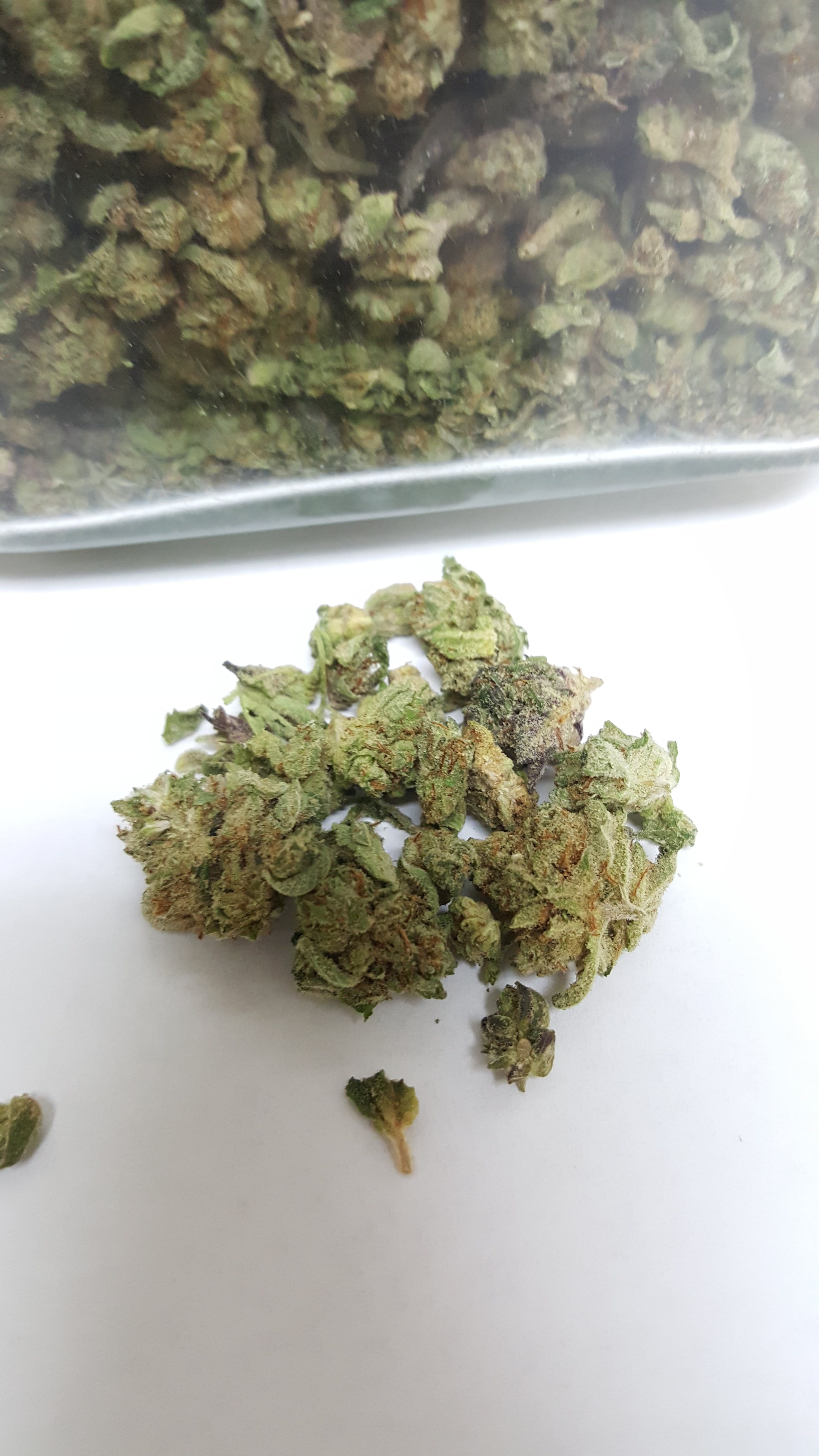 marijuana-dispensaries-2435-e-orangethorpe-ave-fullerton-top-nug-shake-indica