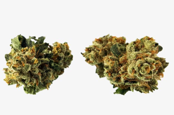 marijuana-dispensaries-570-w-holt-ave-pomona-top-scorpion-og