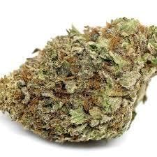 marijuana-dispensaries-burdank-blvd-in-north-hollywood-top-shelf-caviar-og