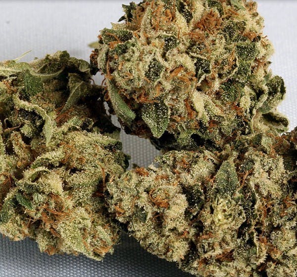 marijuana-dispensaries-la-puente-church-of-healing-a-purity-in-la-puente-top-shelf-chemdawg-og
