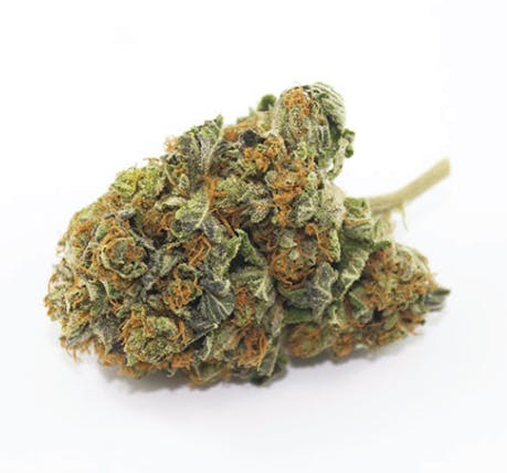 marijuana-dispensaries-825-n-euclid-st-anaheim-top-shelf-deadhead-o-g
