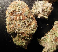 marijuana-dispensaries-12708-foothill-blvd-sylmar-top-shelf-fuego