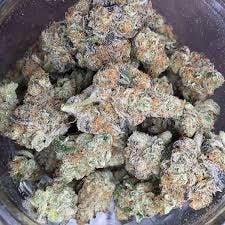 marijuana-dispensaries-burdank-blvd-in-north-hollywood-top-shelf-girl-scout-cookies