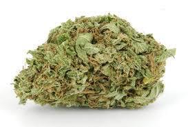 marijuana-dispensaries-whittier-treehouse-in-whittier-top-shelf-gucci-og