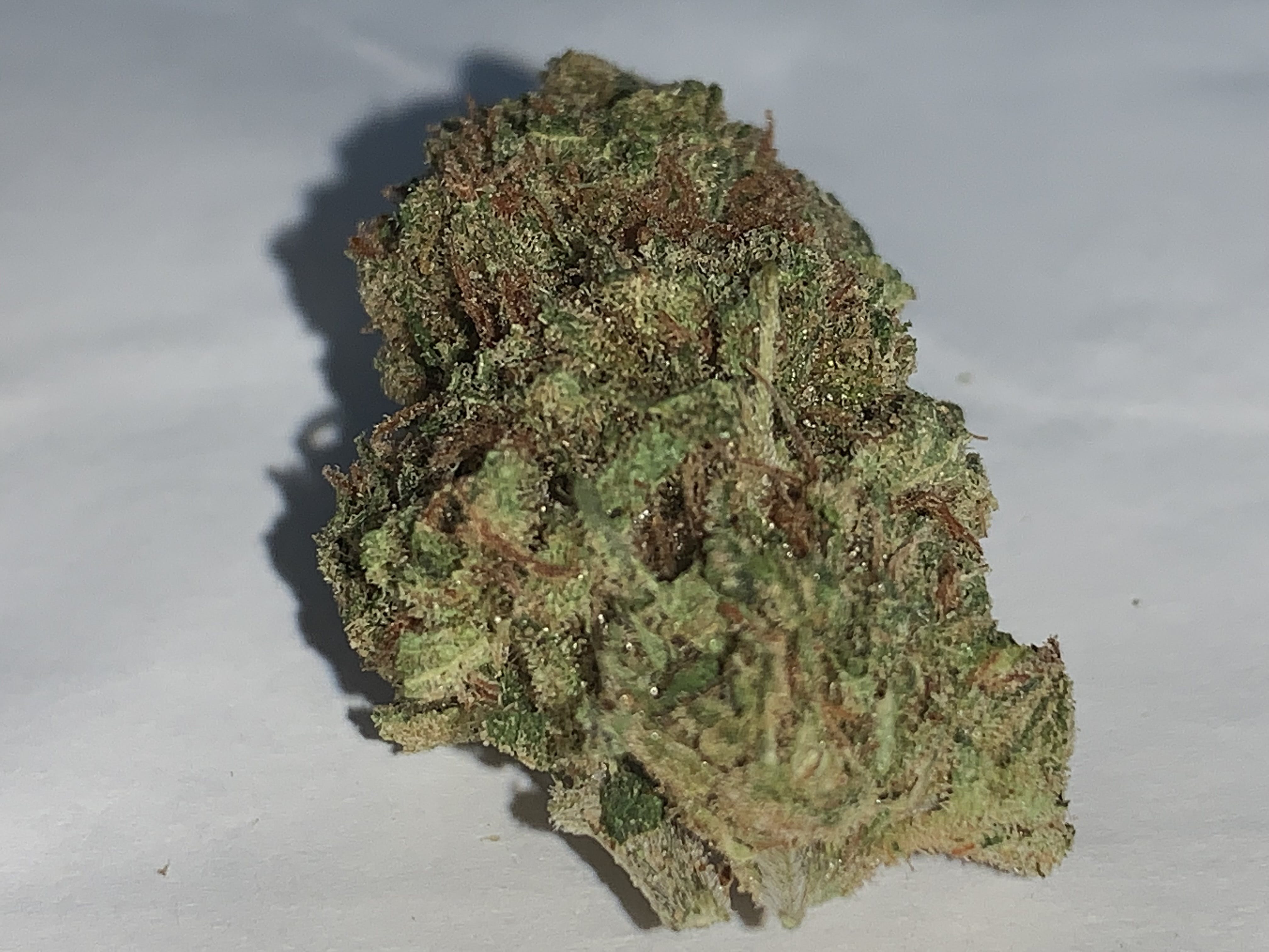 marijuana-dispensaries-13231-rosecrans-ave-santa-fe-springs-top-shelf-jack-herer