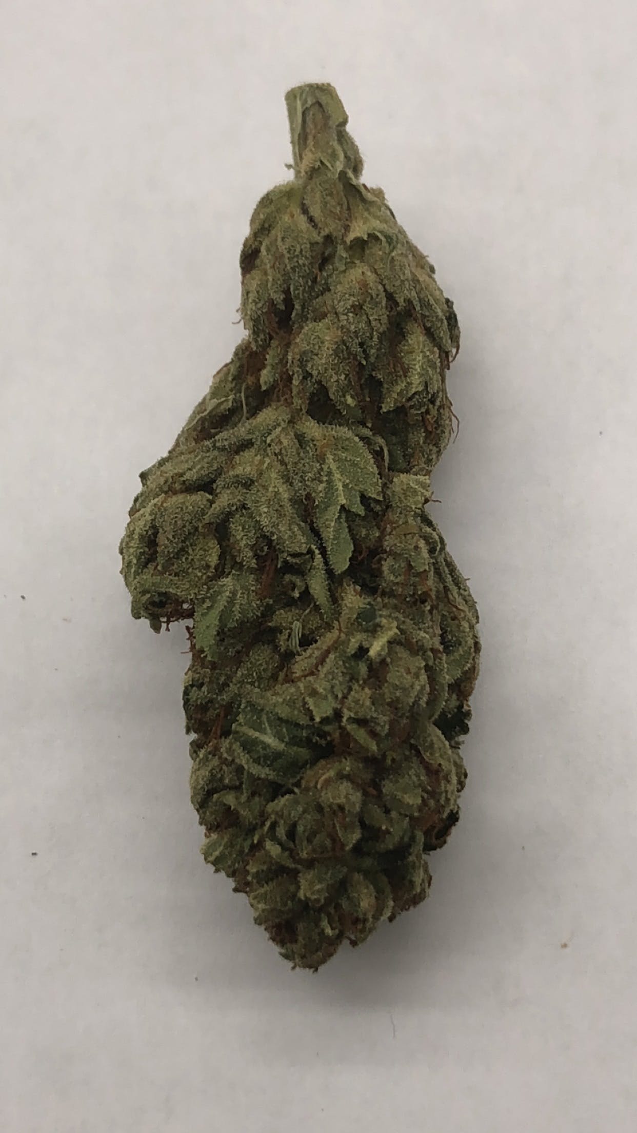 marijuana-dispensaries-1141-santee-suite-d-los-angeles-top-shelf-king-kong
