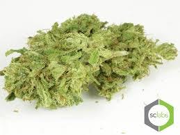 marijuana-dispensaries-1321-w-carson-st-torrance-top-shelf-mimosa-5g-40-45