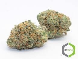 marijuana-dispensaries-130-north-brookhurst-st-anaheim-top-shelf-mk-ultra-og