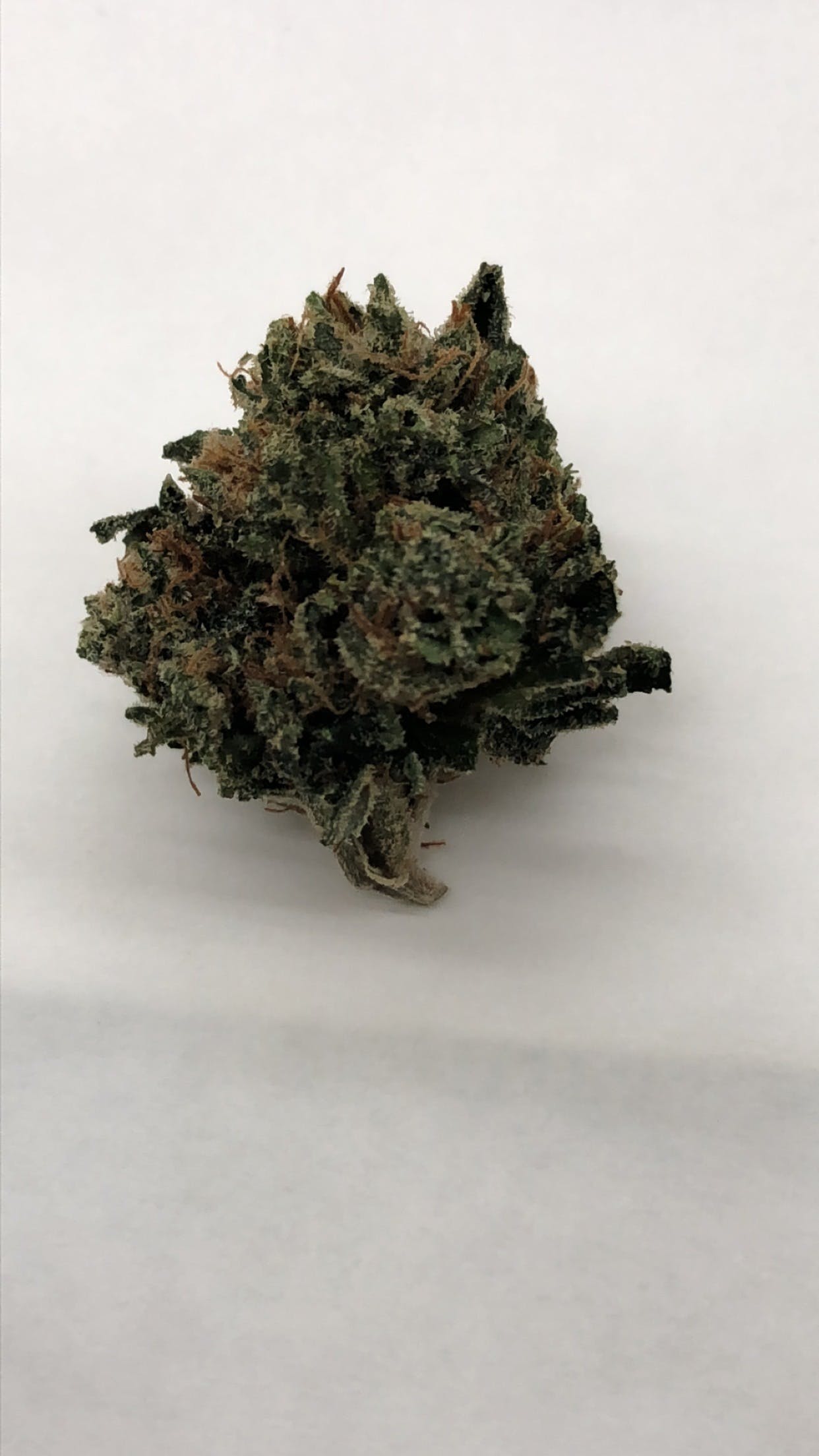 marijuana-dispensaries-1141-santee-suite-d-los-angeles-top-shelf-savage-og