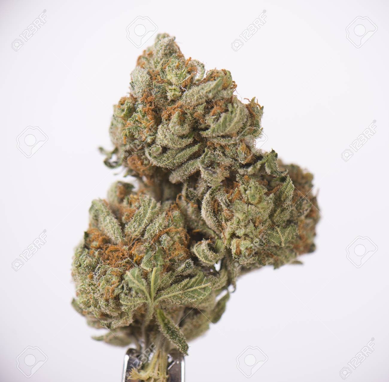 marijuana-dispensaries-18435-e-valley-blvd-la-puente-top-shelf-sour-tangie