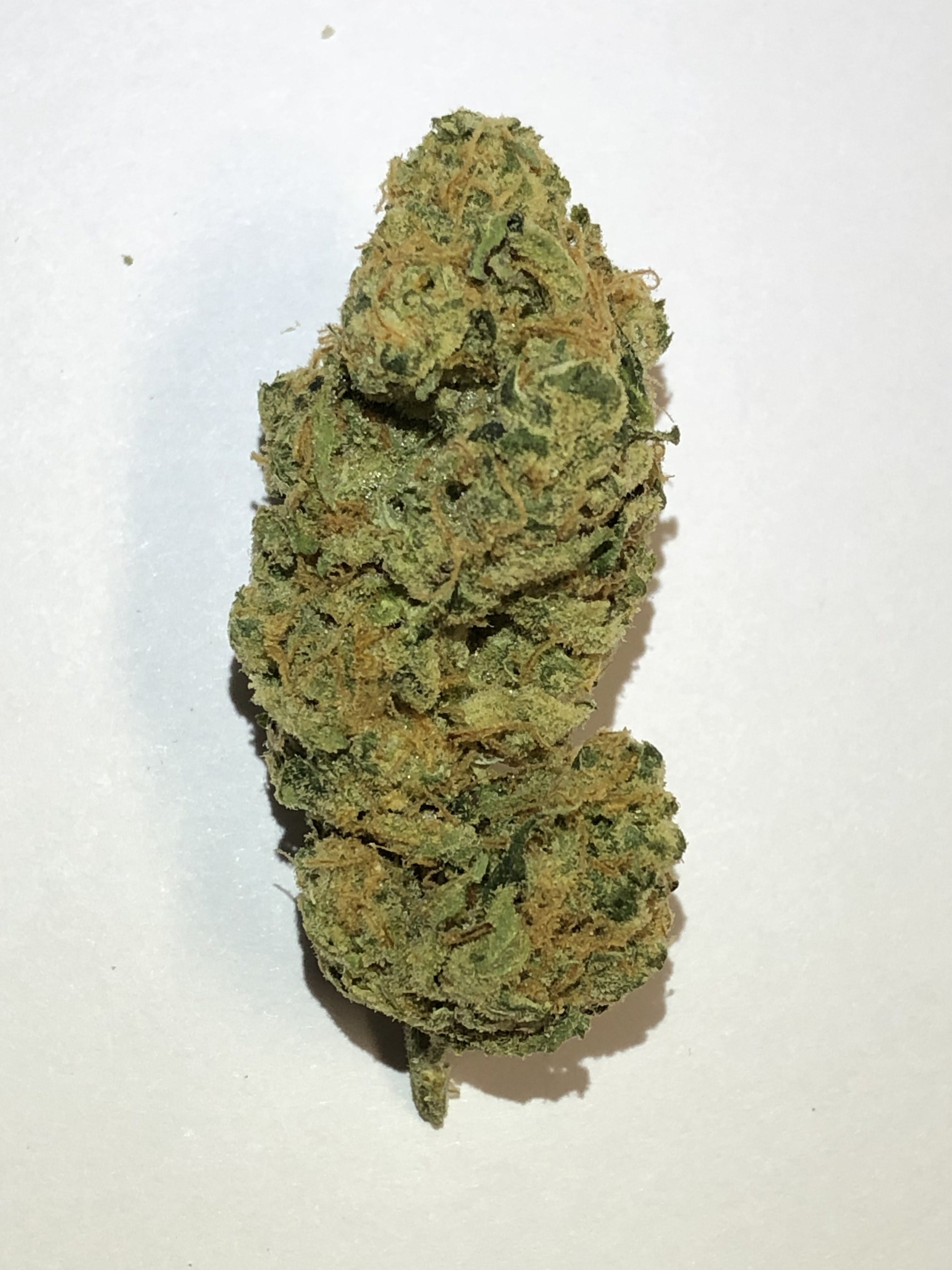 marijuana-dispensaries-13231-rosecrans-ave-santa-fe-springs-top-shelf-tangie-popcorn