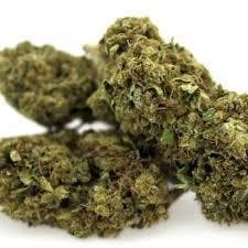 marijuana-dispensaries-yolo-collective-in-los-angeles-top-shelf-venom-og