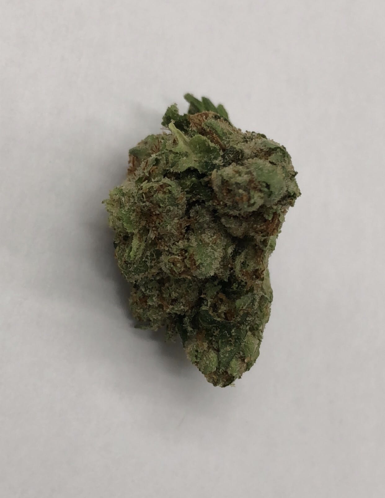 marijuana-dispensaries-1141-santee-suite-d-los-angeles-top-shelf-xxx-og