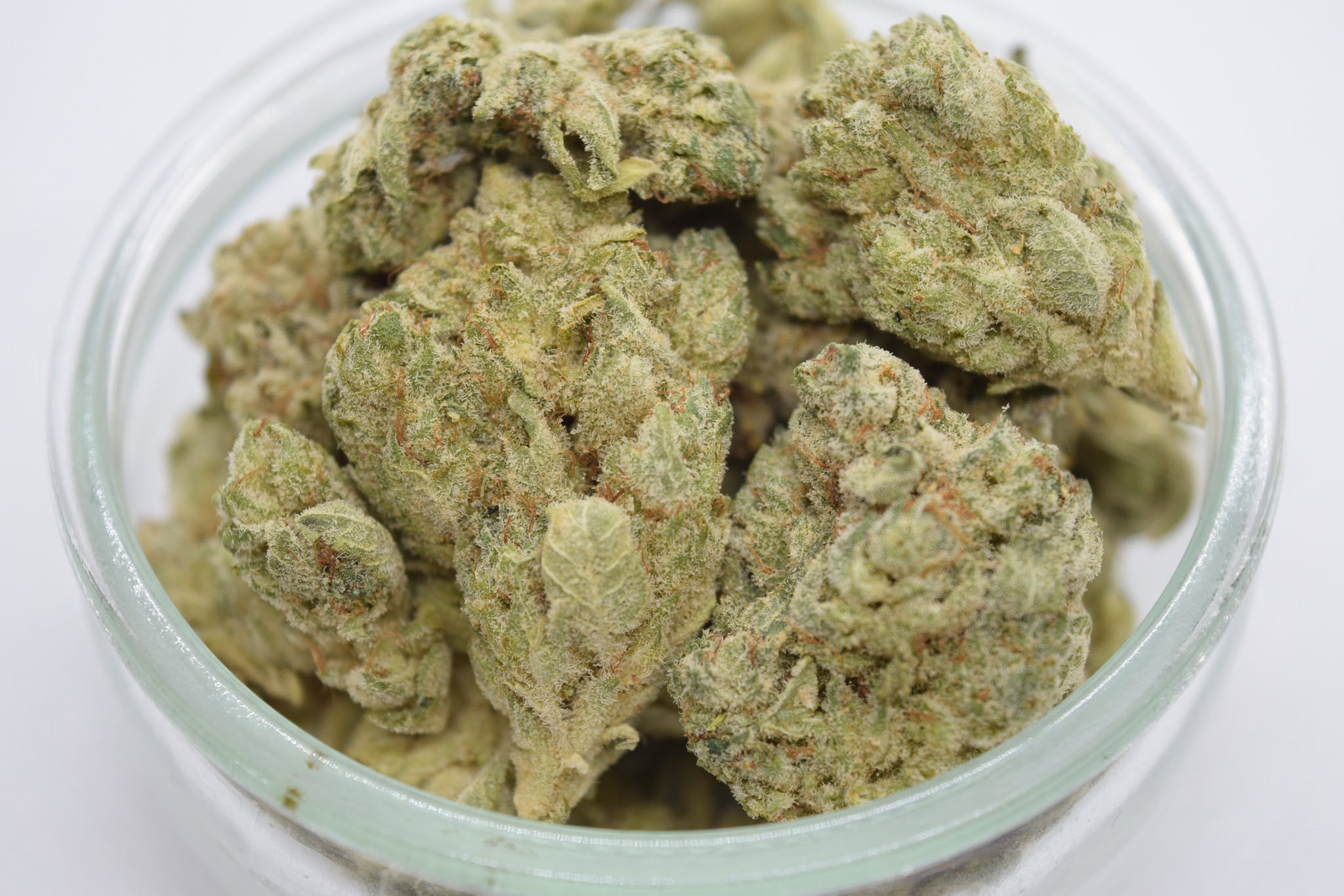 marijuana-dispensaries-golden-state-in-temecula-top-super-glue