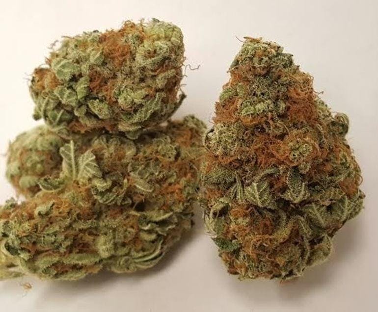 marijuana-dispensaries-570-w-holt-ave-pomona-top-tangie