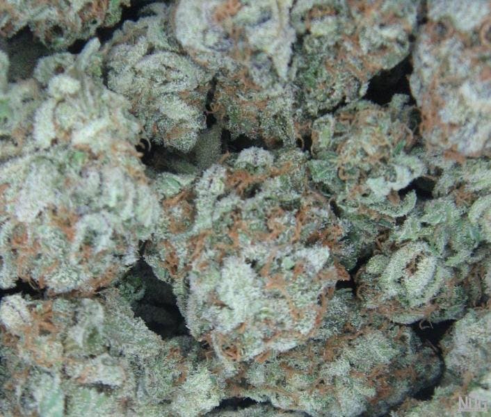 marijuana-dispensaries-570-w-holt-ave-pomona-top-zkittles