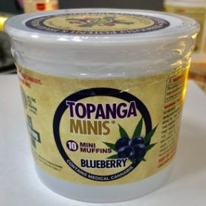 Topanga Minis- 10 blueberry muffins
