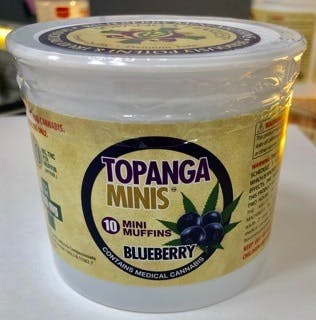 edible-topanga-minis-10-blueberry-muffins