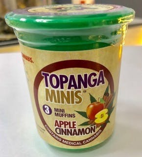 Topanga Minis- 3 apple cinnamon muffins