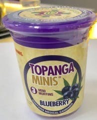 Topanga Minis- 3 blueberry muffins