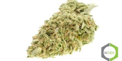 marijuana-dispensaries-2077-harbor-blvd-unit-a-costa-mesa-topshelf-blue-dream-5g-40-2445