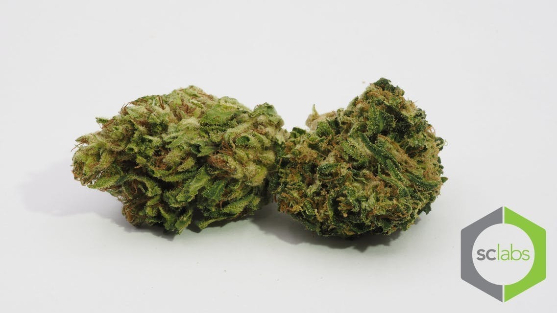 marijuana-dispensaries-2077-harbor-blvd-unit-a-costa-mesa-topshelf-bubba-kush-5g-40-2445