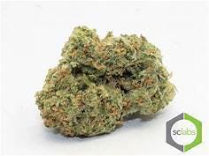 marijuana-dispensaries-1575-e-walnut-pasadena-topshelf-lambs-breathe-5g-40-2445
