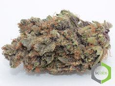 marijuana-dispensaries-2077-harbor-blvd-unit-a-costa-mesa-topshelf-royal-og-5g-40-2445