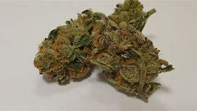 marijuana-dispensaries-bakersfields-best-20-cap-in-bakersfield-topshelf-trainwreck-2oz270-qp530