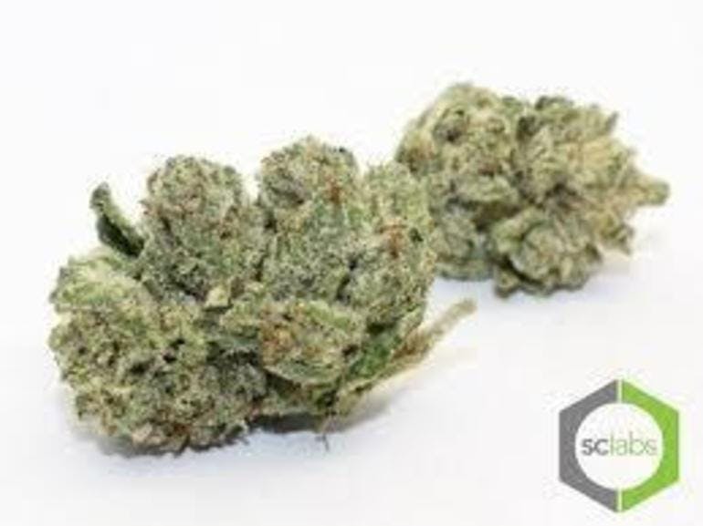 marijuana-dispensaries-1112-e-ash-ave-fullerton-topshelf-ultra-og
