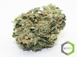 marijuana-dispensaries-1026-w-pacific-coast-wilmington-topshelf-yoda-og-5-for-35