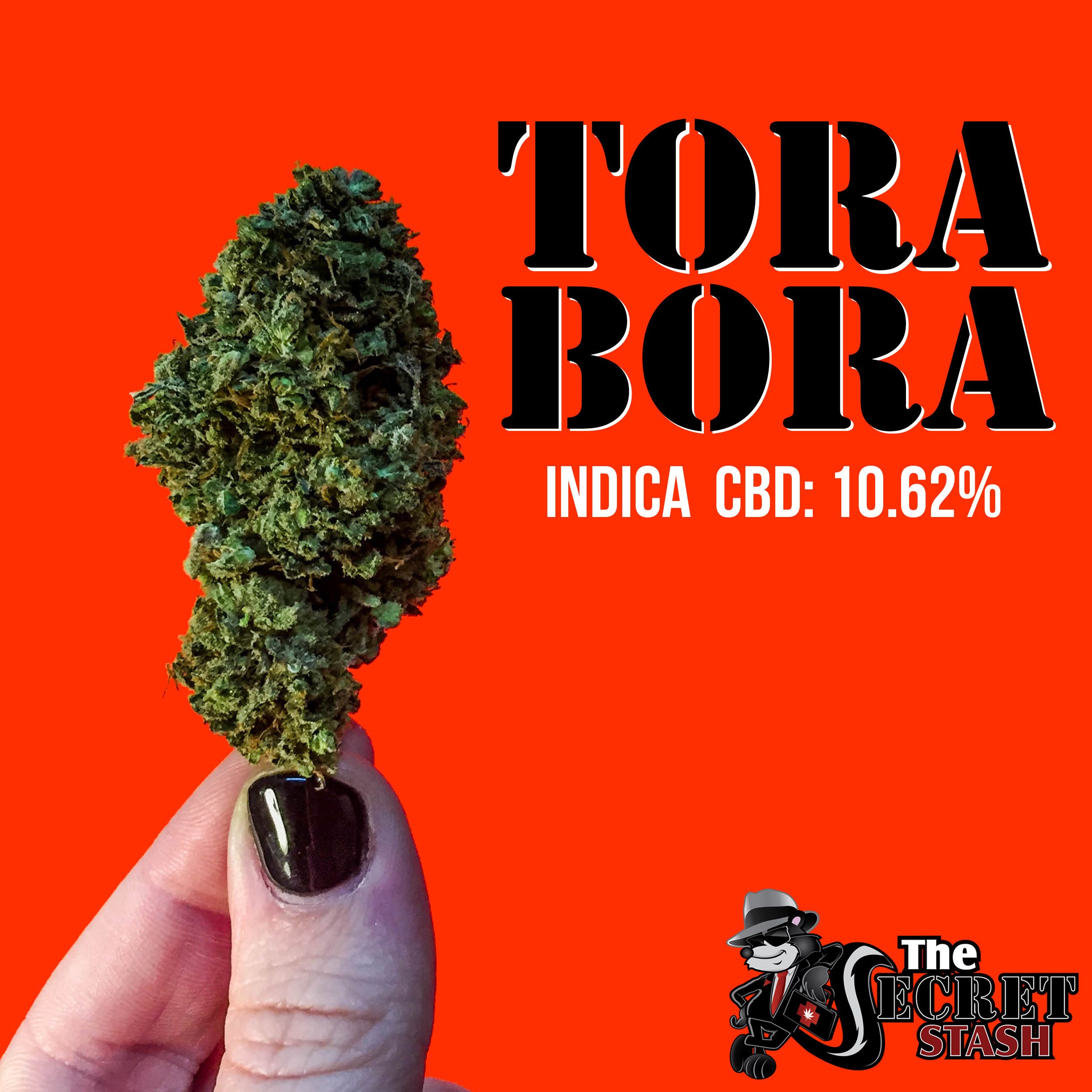 marijuana-dispensaries-medicine-wheel-in-roseneath-tora-bora