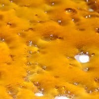 concentrate-tr-scientific-gg4-shatter